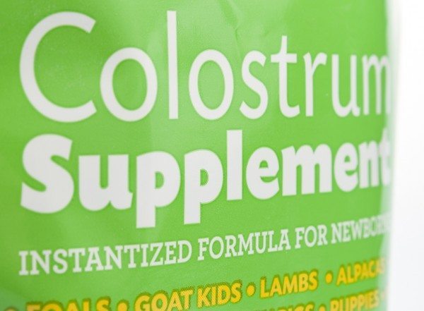 Colostrum Supplement is becoming popular as a supplement and can be useful in enhancing performance.